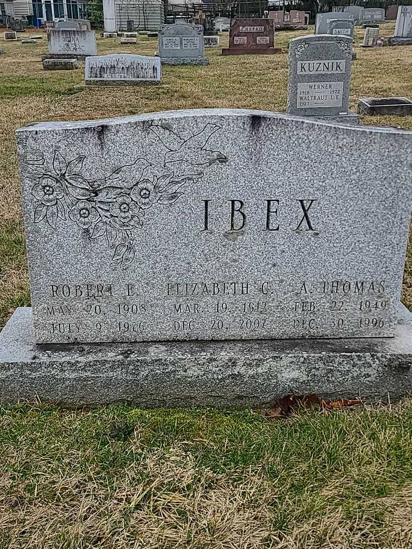 Robert E. Ibex's grave. Photo 1