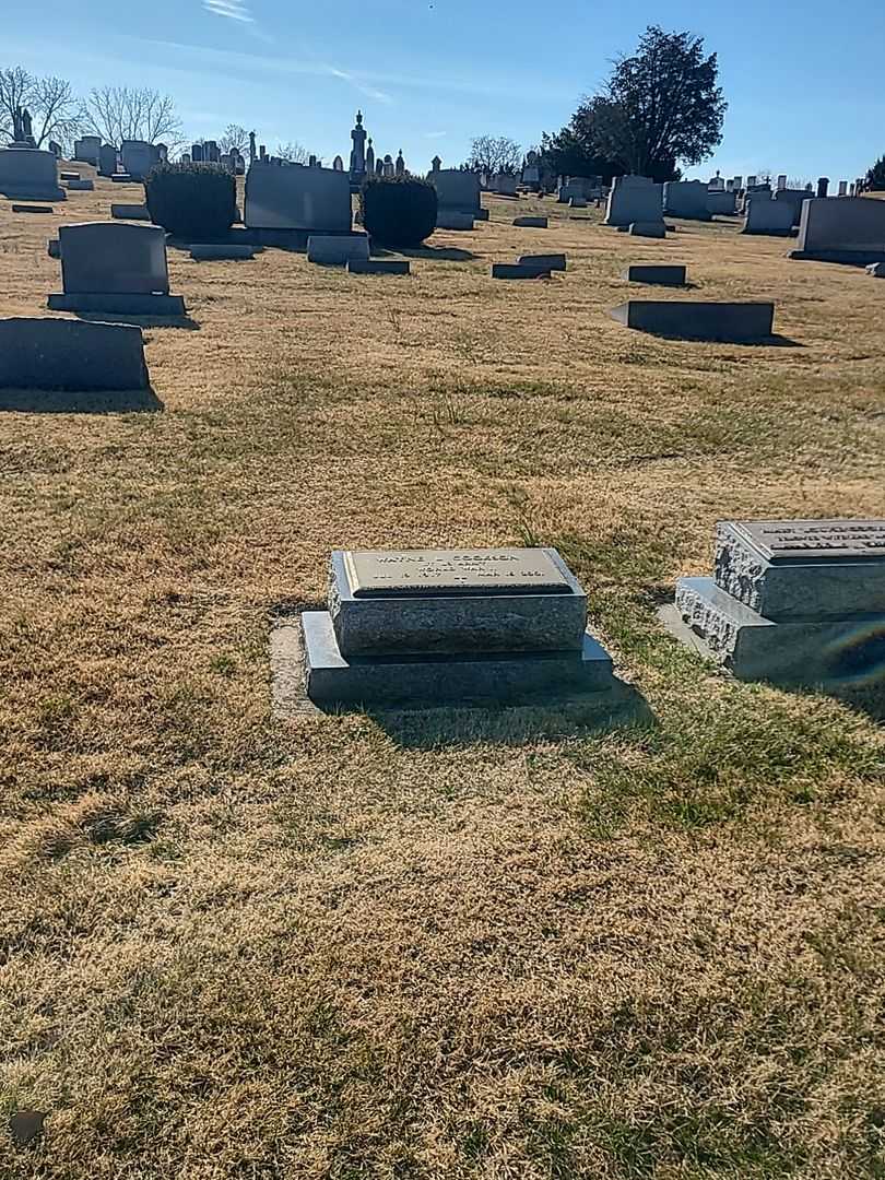 Wayne L. Cookson's grave. Photo 2
