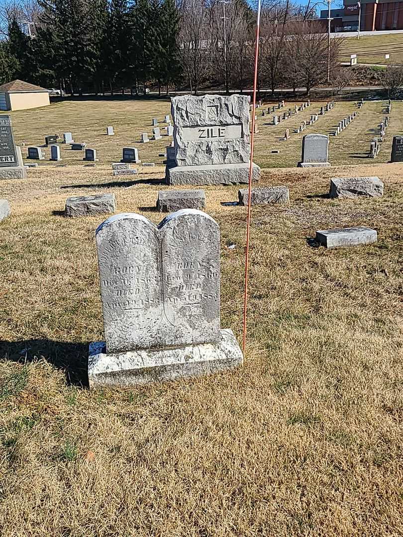 D. A. Schaeffer's grave. Photo 2