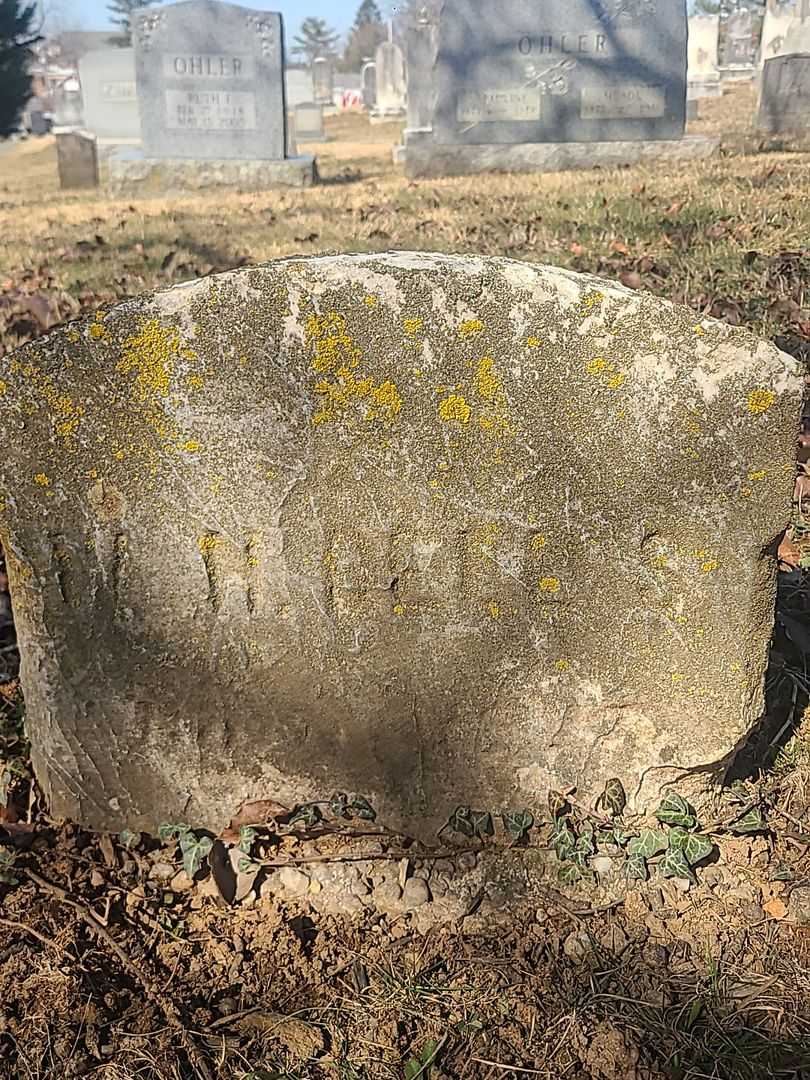 W. H. Bell's grave. Photo 2