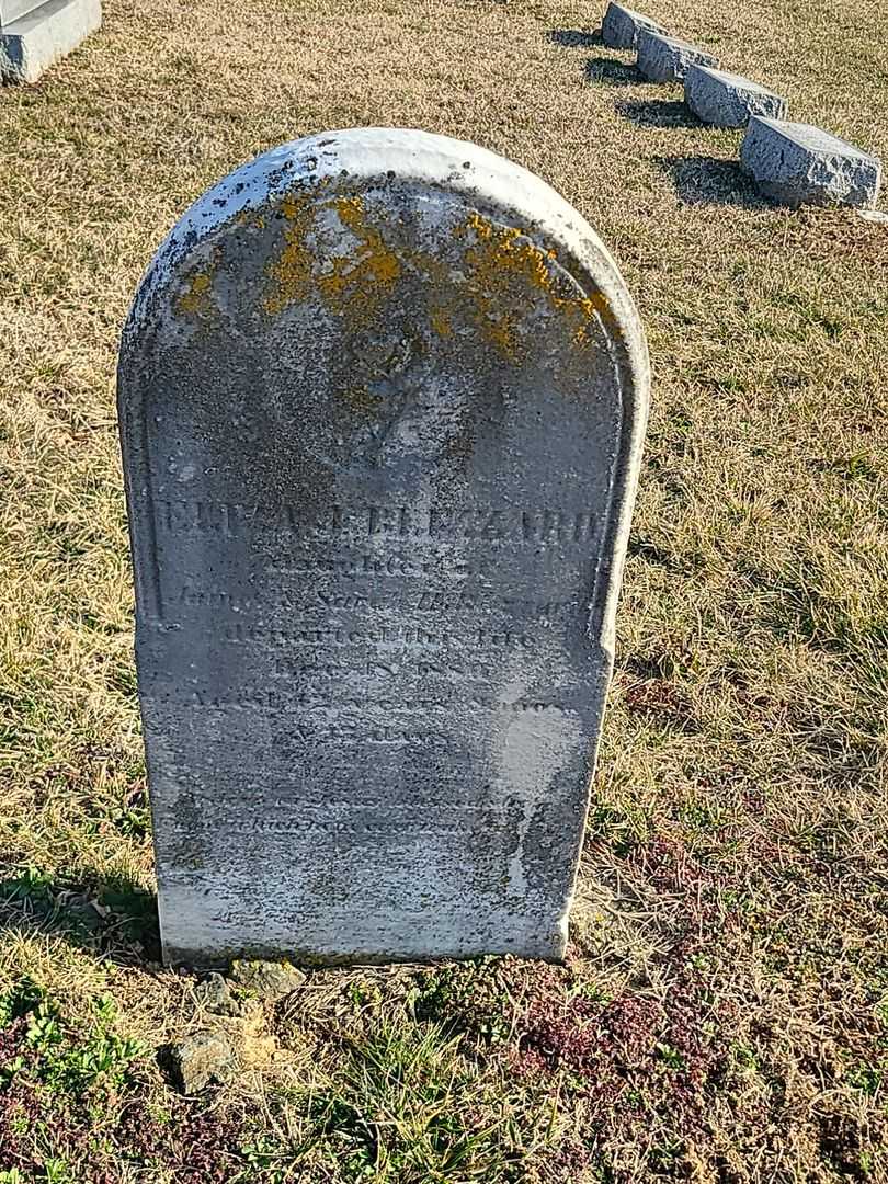 Eliza J. Blizzard's grave. Photo 3