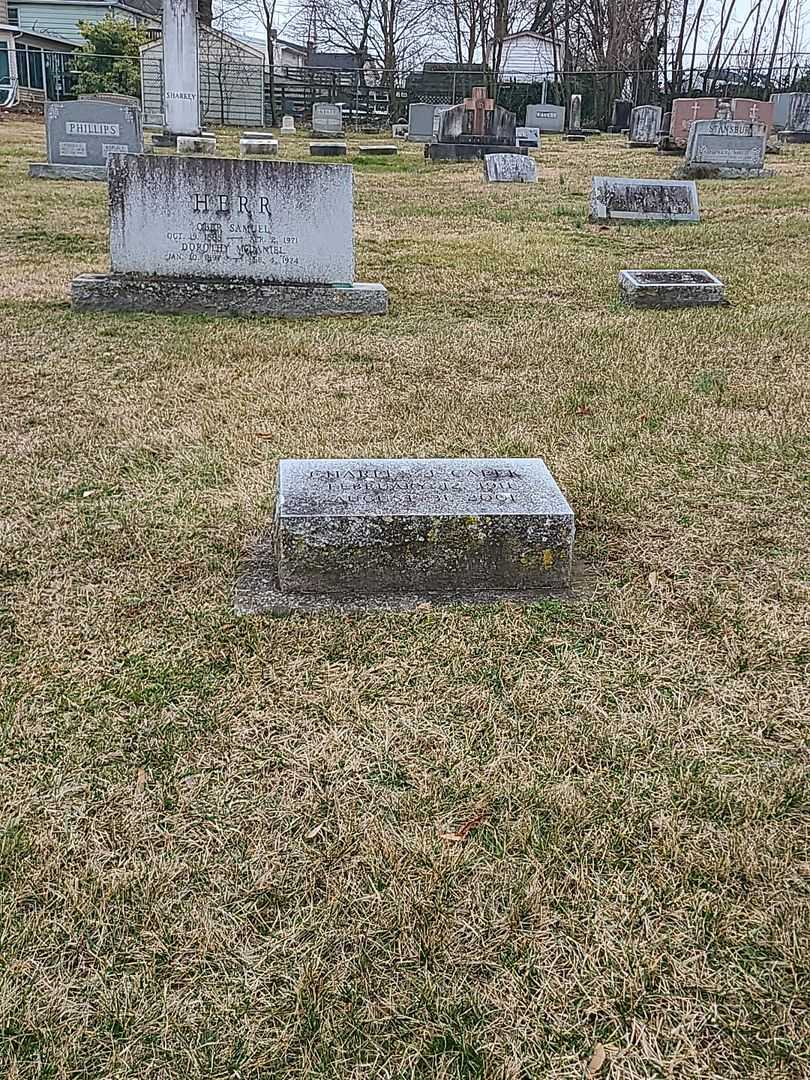 Charles J. Capek's grave. Photo 2