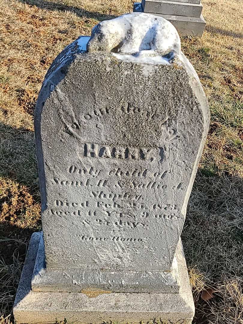 Harry Shipley's grave. Photo 3