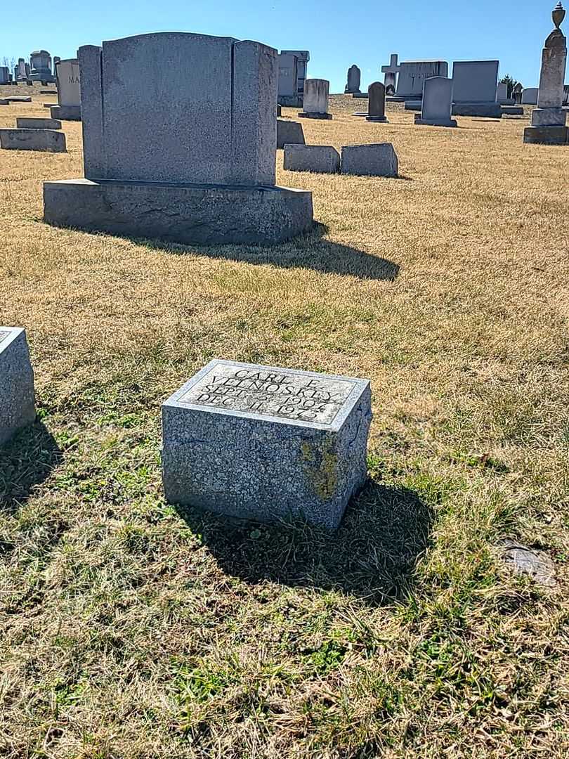 Carl E. Velnoskey's grave. Photo 2