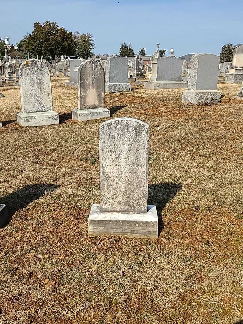 Ida Ann Zahn's grave. Photo 2