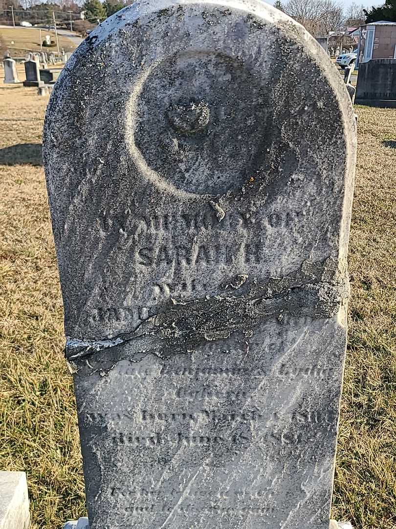 Sarah H. Ogborn Blizzard's grave. Photo 3