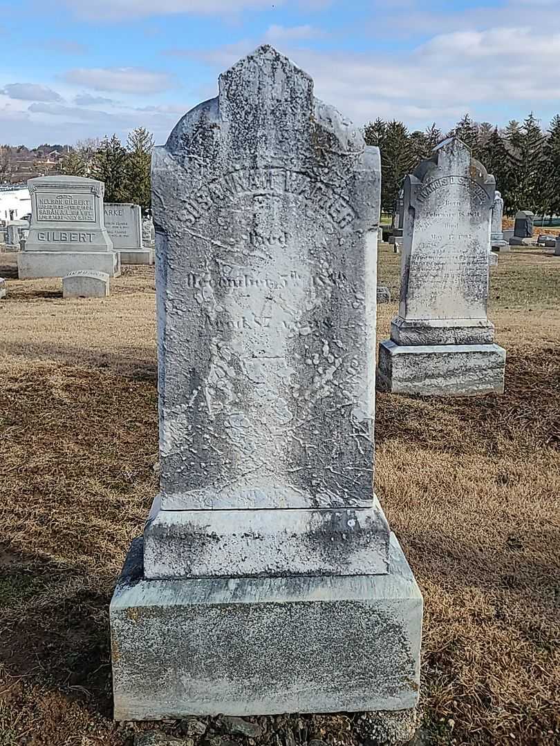 Susannah Wagner's grave. Photo 3