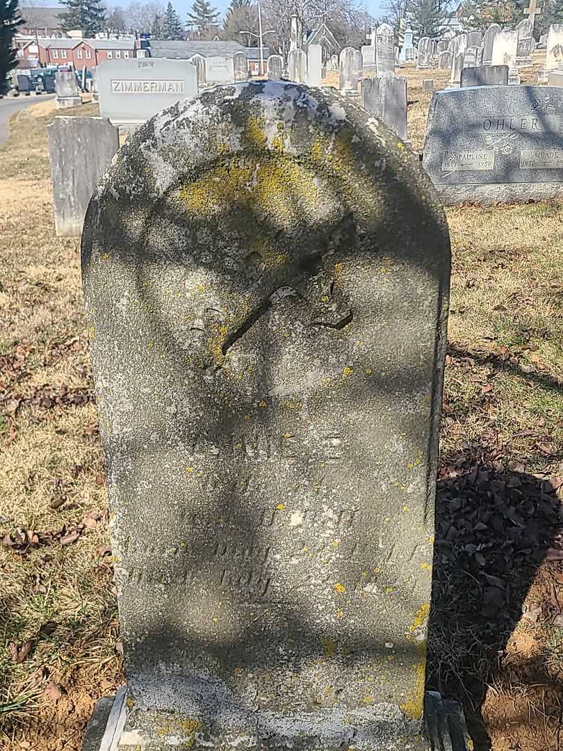 Annie E. Bell's grave. Photo 2