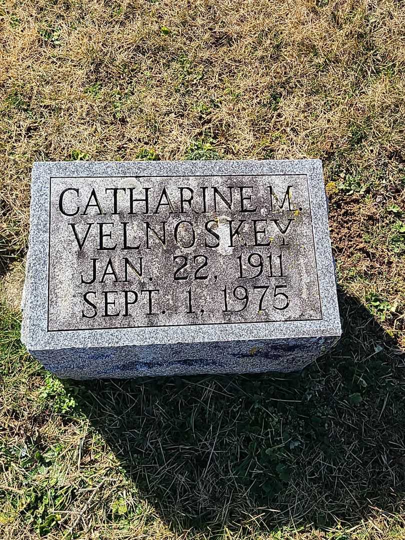 Catharine M. Velnoskey's grave. Photo 2