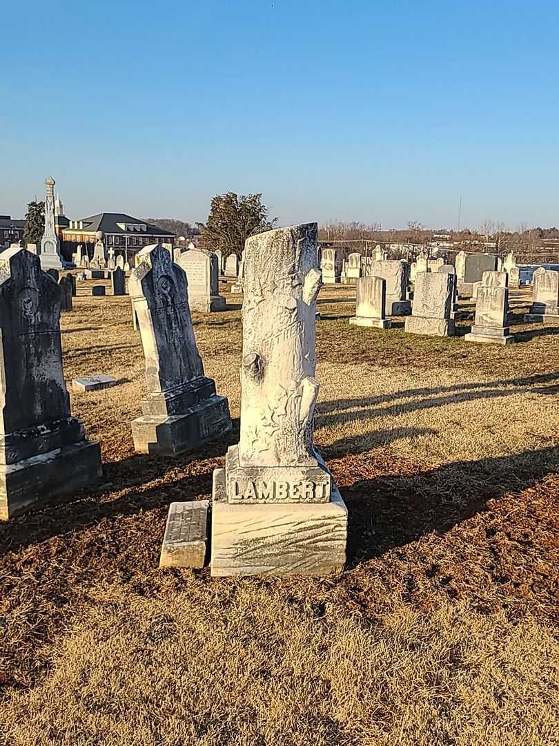 John R. Lambert's grave. Photo 1