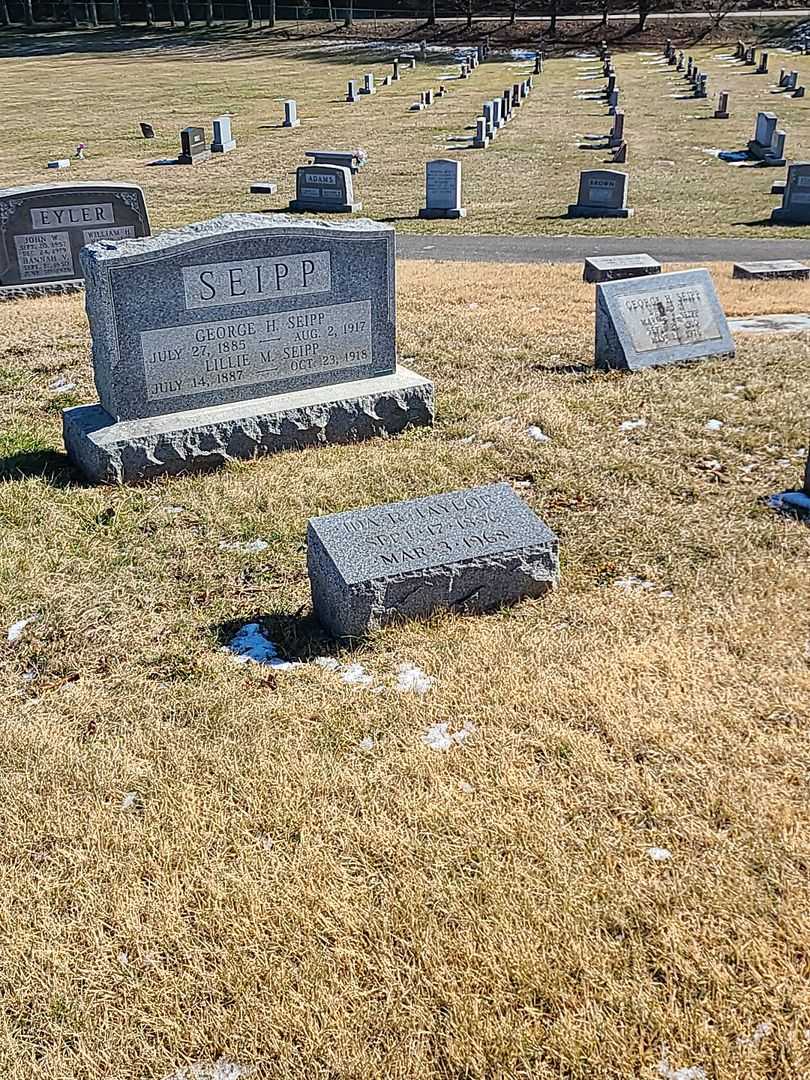 Ida R. Taylor's grave. Photo 2