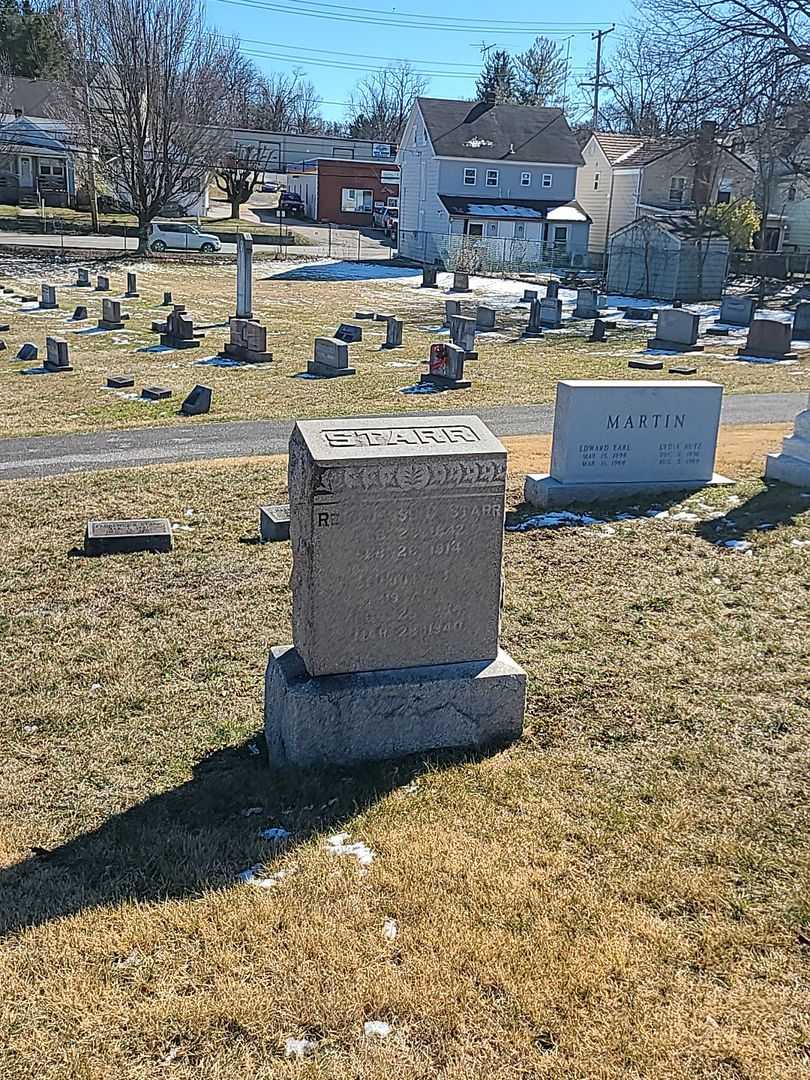 Nettie J. Starr's grave. Photo 2