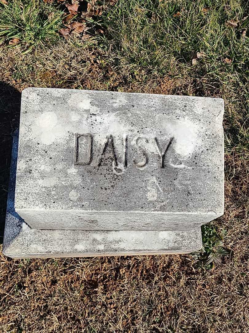 Daisy A. Bowen's grave. Photo 4