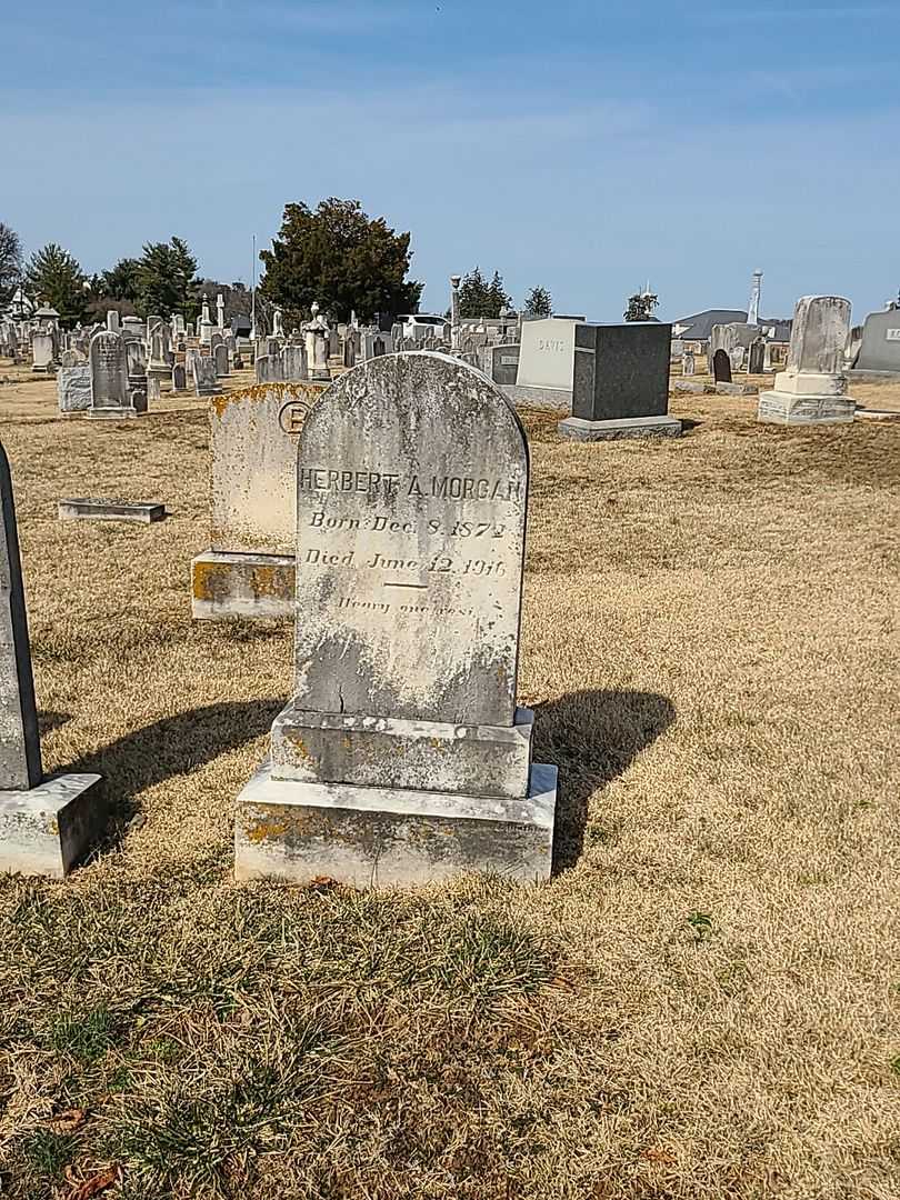 Herbert A. Morgan's grave. Photo 2