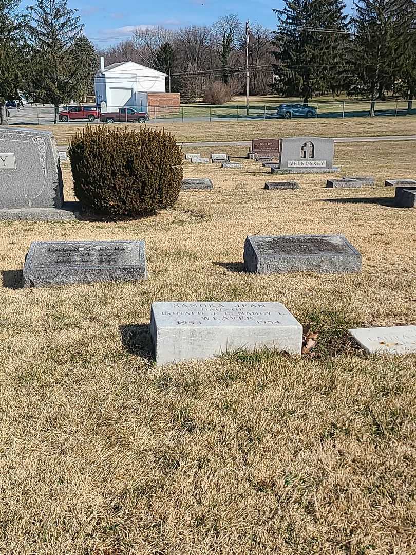 Sandra Jean Weaver's grave. Photo 2