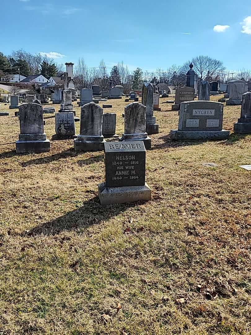 Nelson Beaver's grave. Photo 2