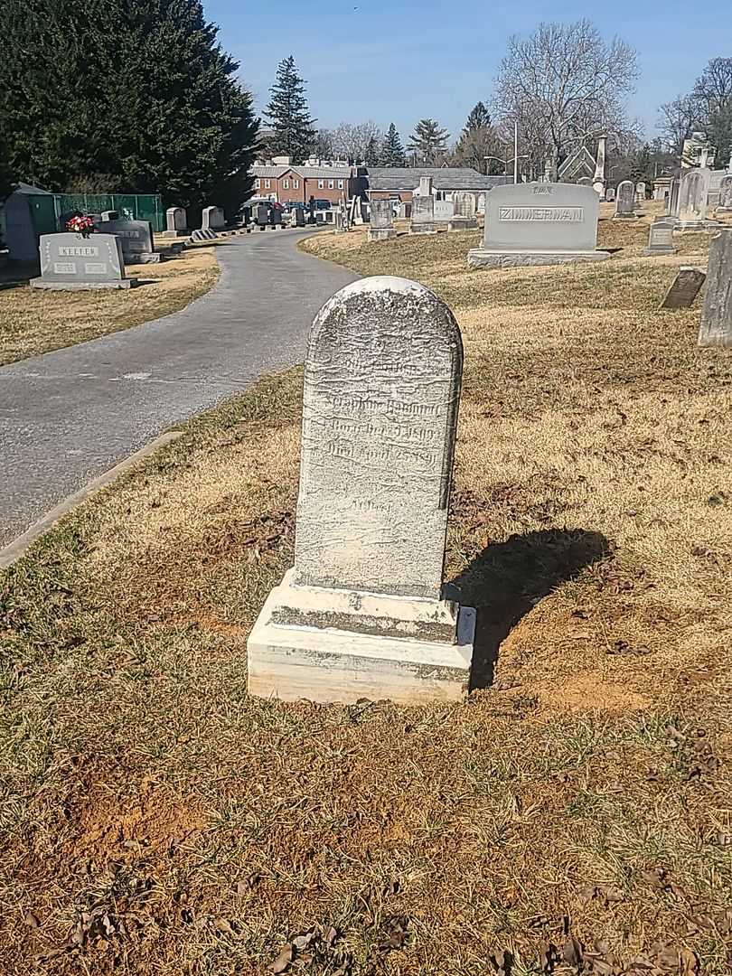 Seraphine Hammett's grave. Photo 1