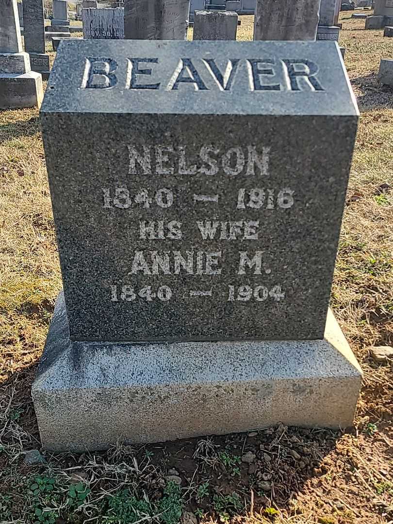 Nelson Beaver's grave. Photo 1