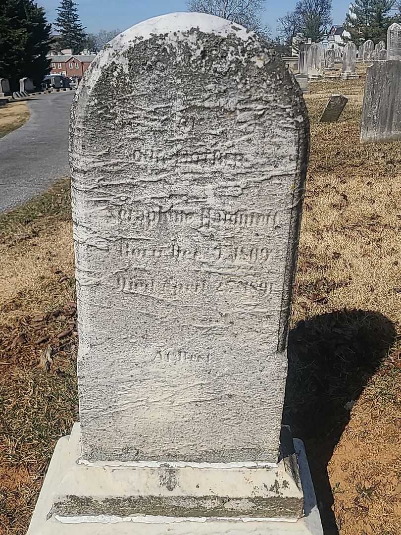 Seraphine Hammett's grave. Photo 2