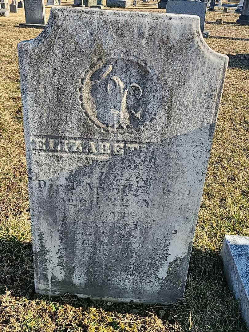 Elizabeth Ann Blizzard's grave. Photo 3