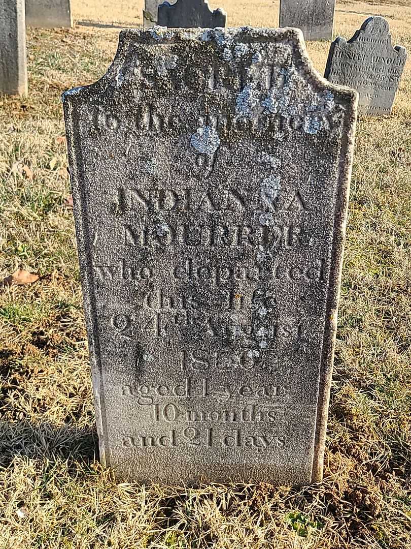 Indianna Mourrer's grave. Photo 3