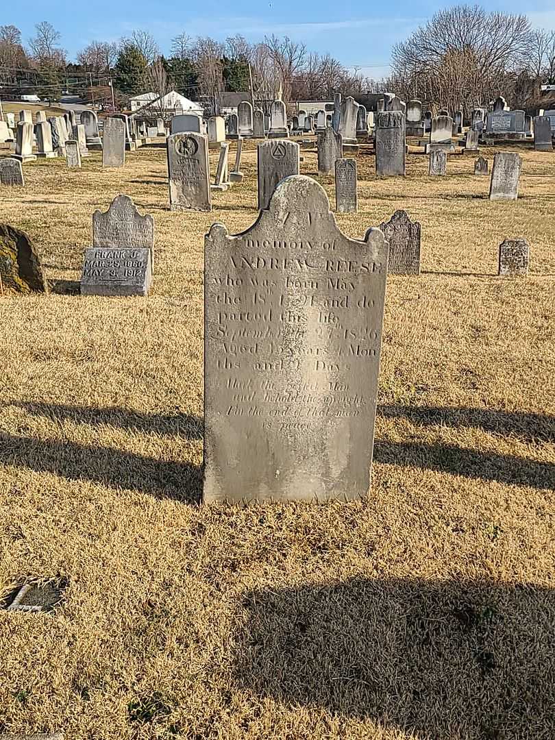 Andrew Reese's grave. Photo 2