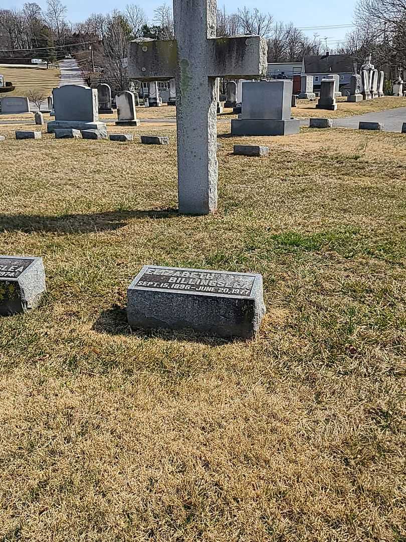 Elizabeth Billingslea's grave. Photo 2