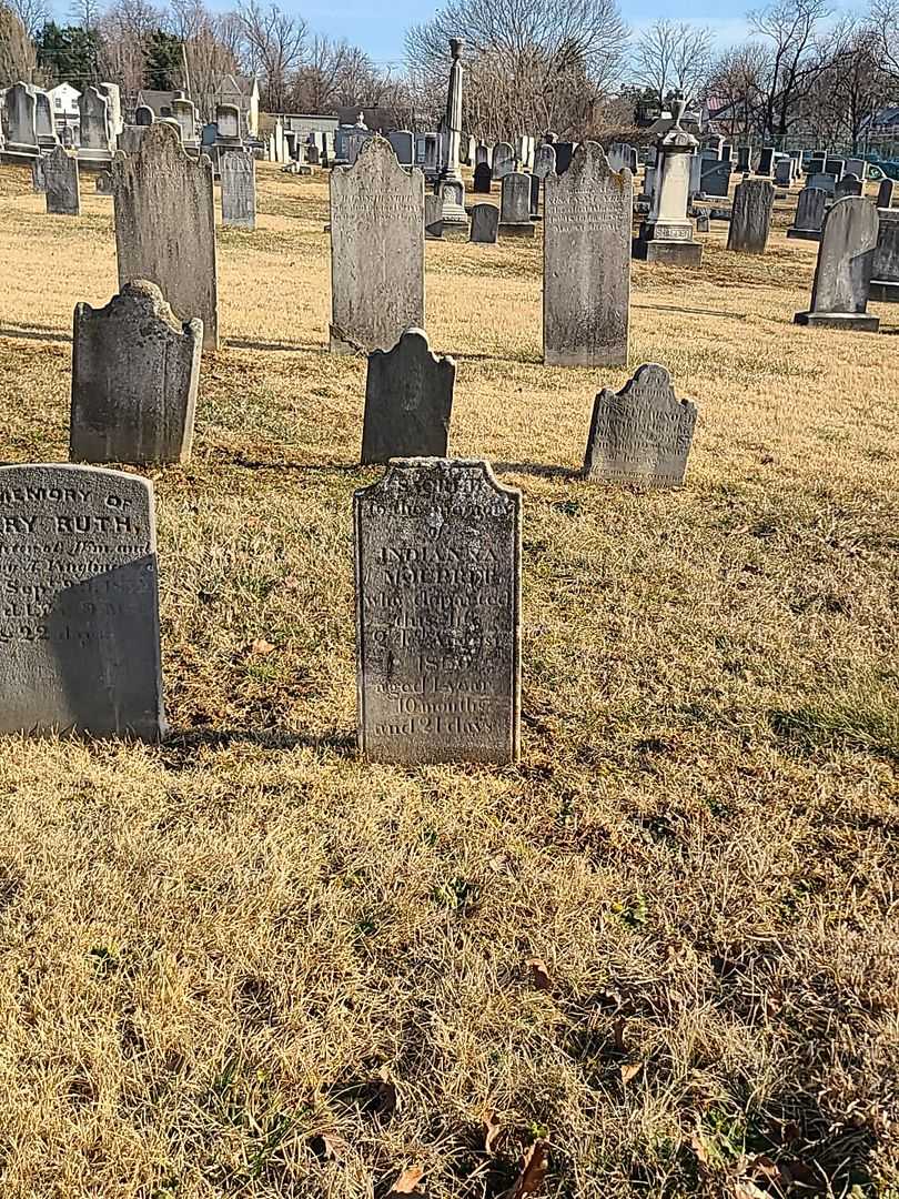 Indianna Mourrer's grave. Photo 2