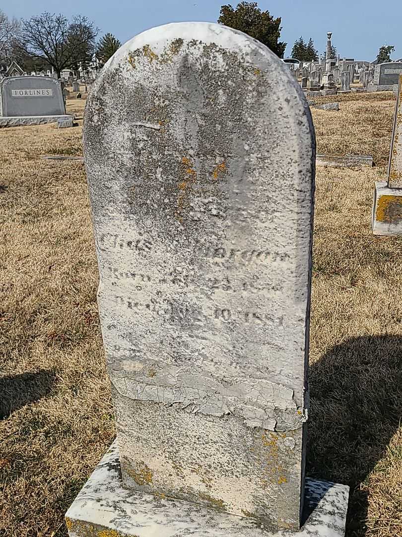 Maggie V. Morgan's grave. Photo 3