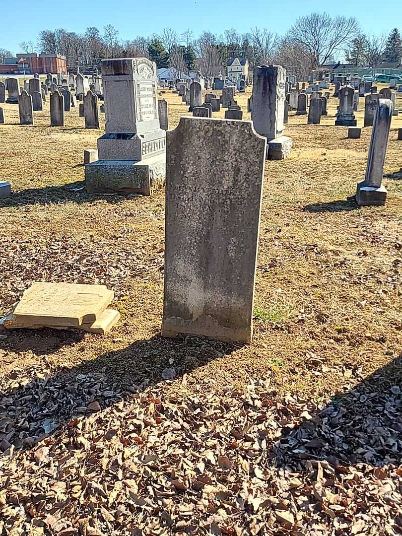 Henry Miller's grave. Photo 2