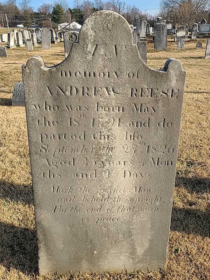 Andrew Reese's grave. Photo 3