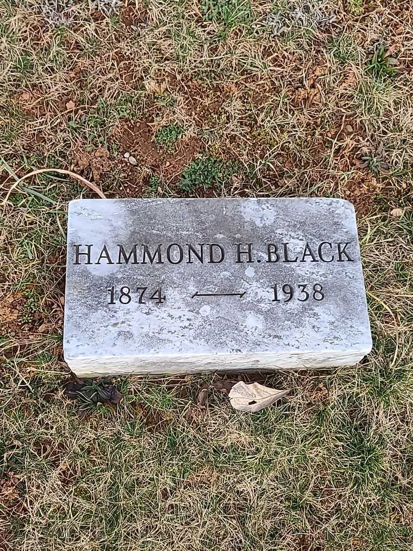 Hammond H. Black's grave. Photo 3