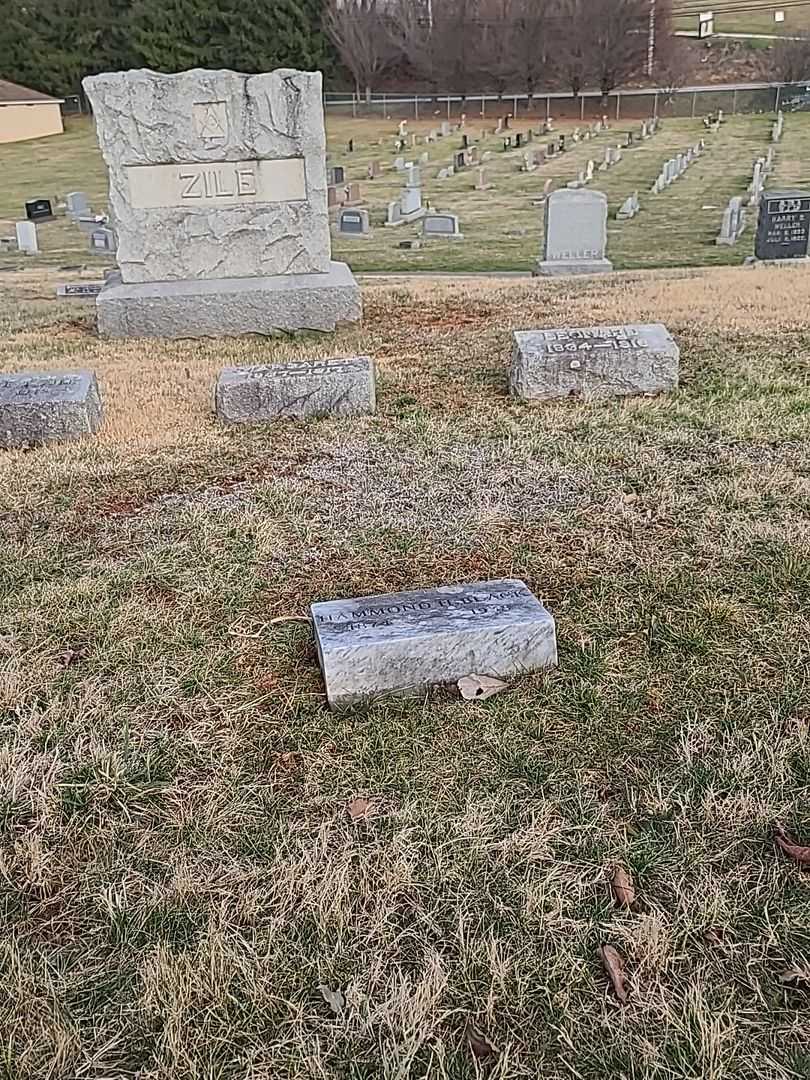 Hammond H. Black's grave. Photo 2