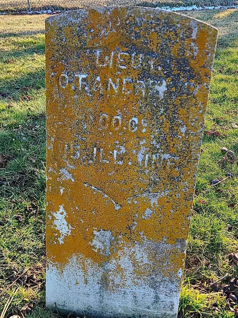 Malachi Buckley's grave. Photo 1