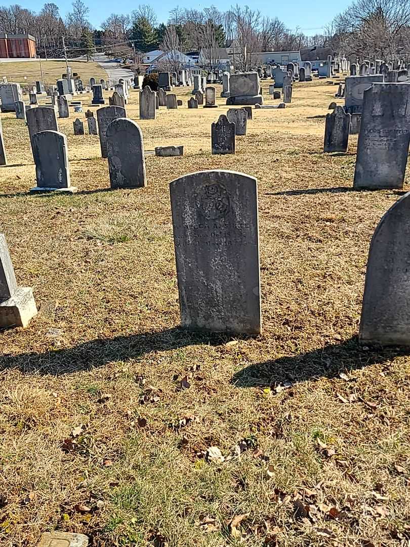 Rebecca A. Shreev's grave. Photo 2