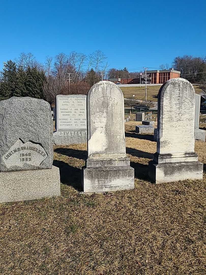 Ann Eliza Sharrer's grave. Photo 2