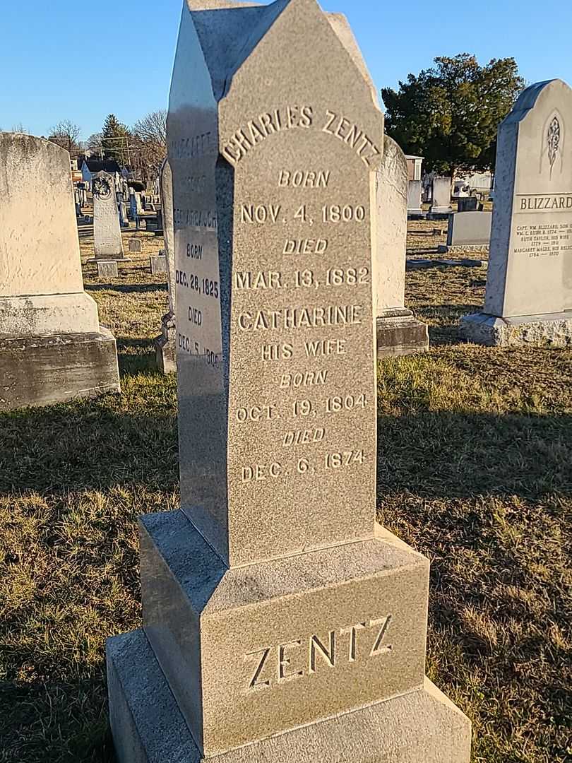 David Zentz's grave. Photo 1