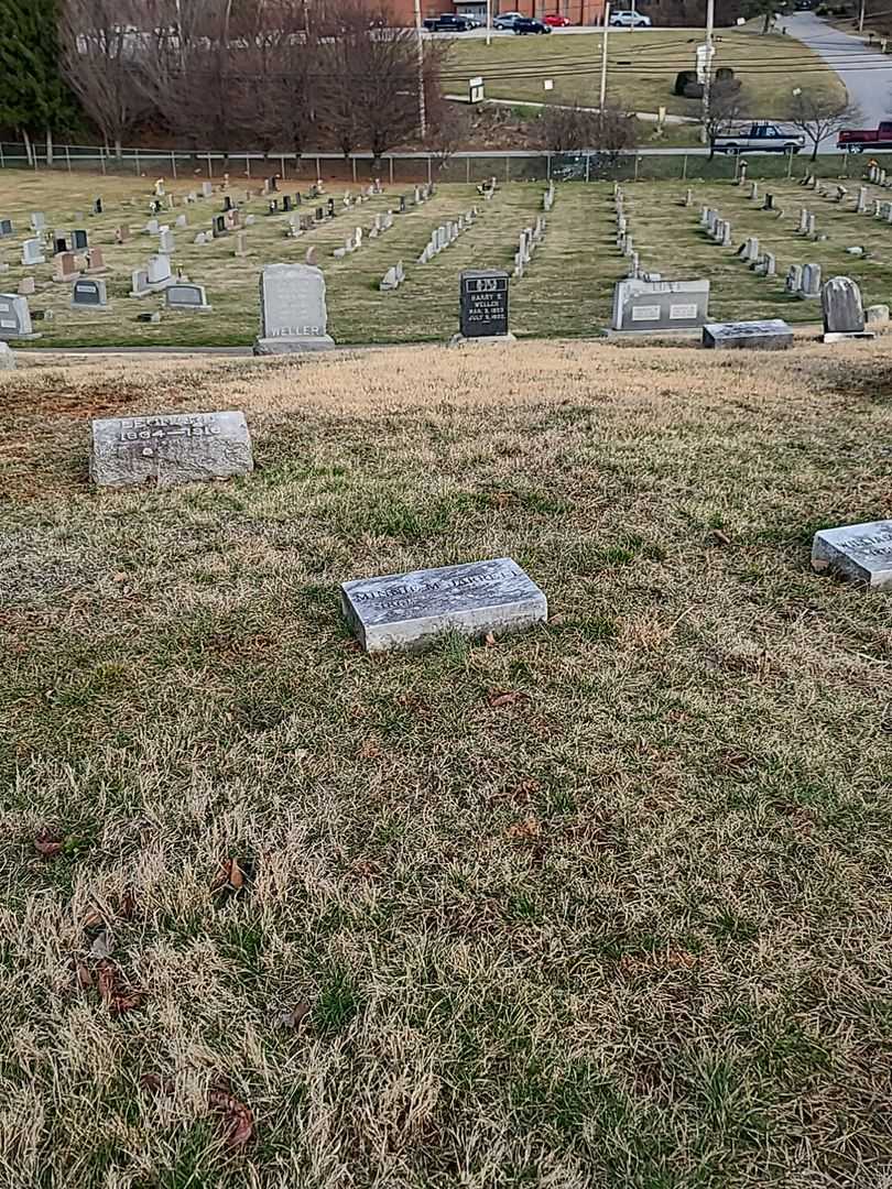 Minnie M. Jarrett's grave. Photo 2