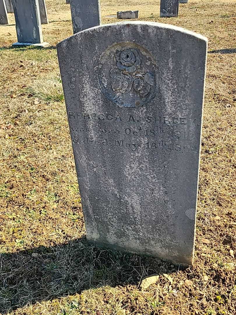 Rebecca A. Shreev's grave. Photo 3