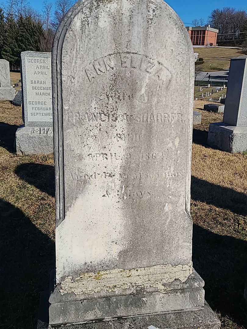 Ann Eliza Sharrer's grave. Photo 3