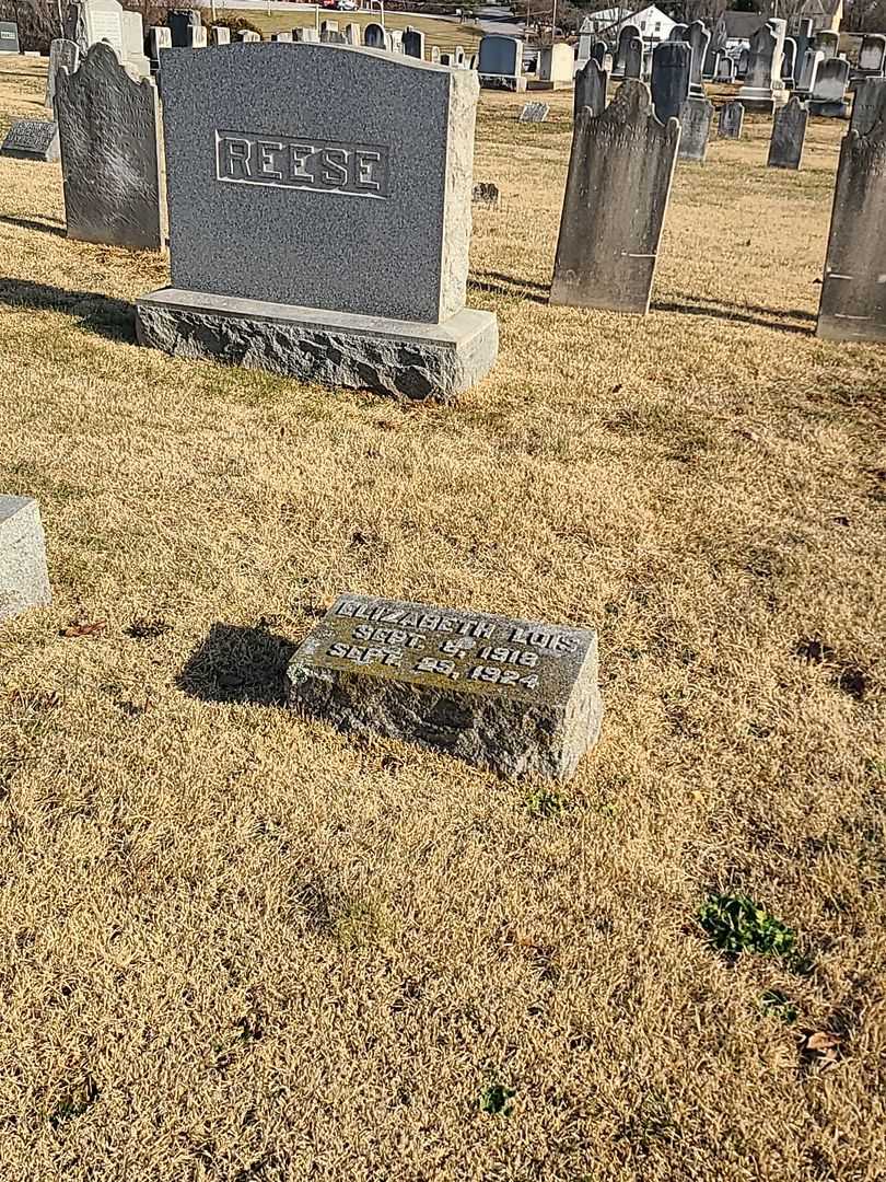 Elizabeth Lois Reese's grave. Photo 2