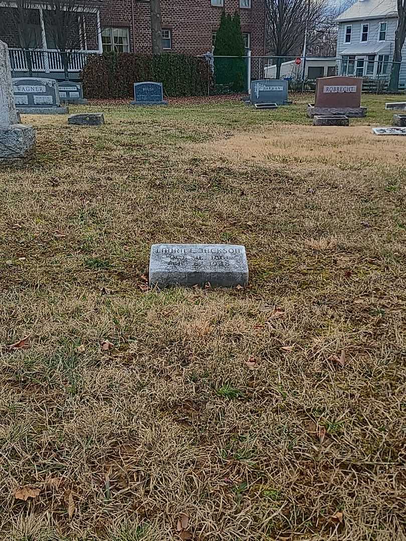 Laura E. Jackson's grave. Photo 2