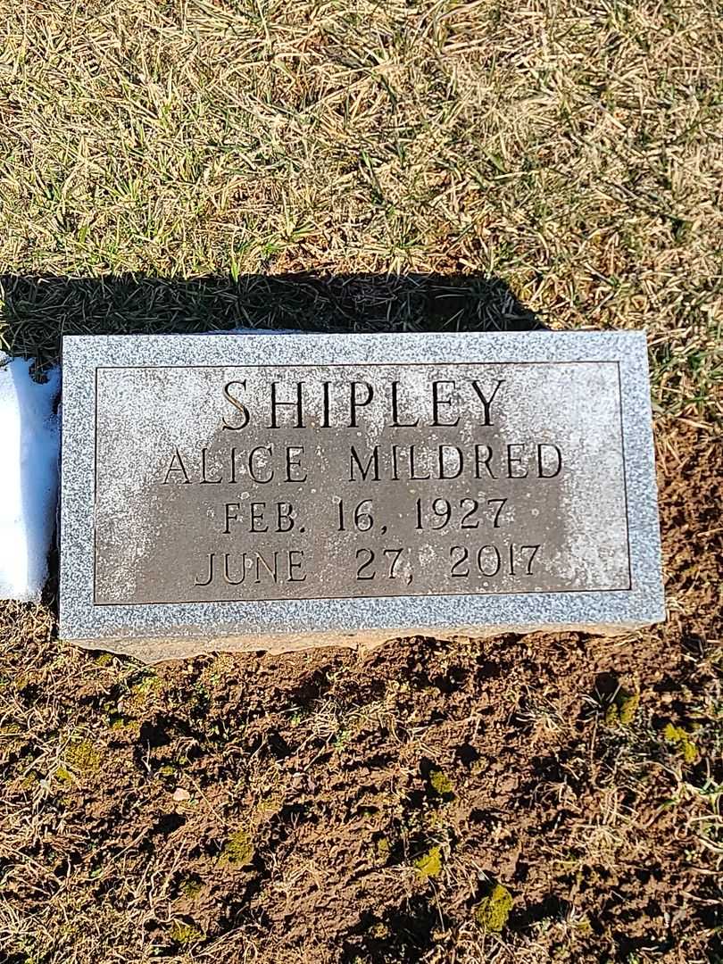 Alice Mildred Shipley's grave. Photo 3