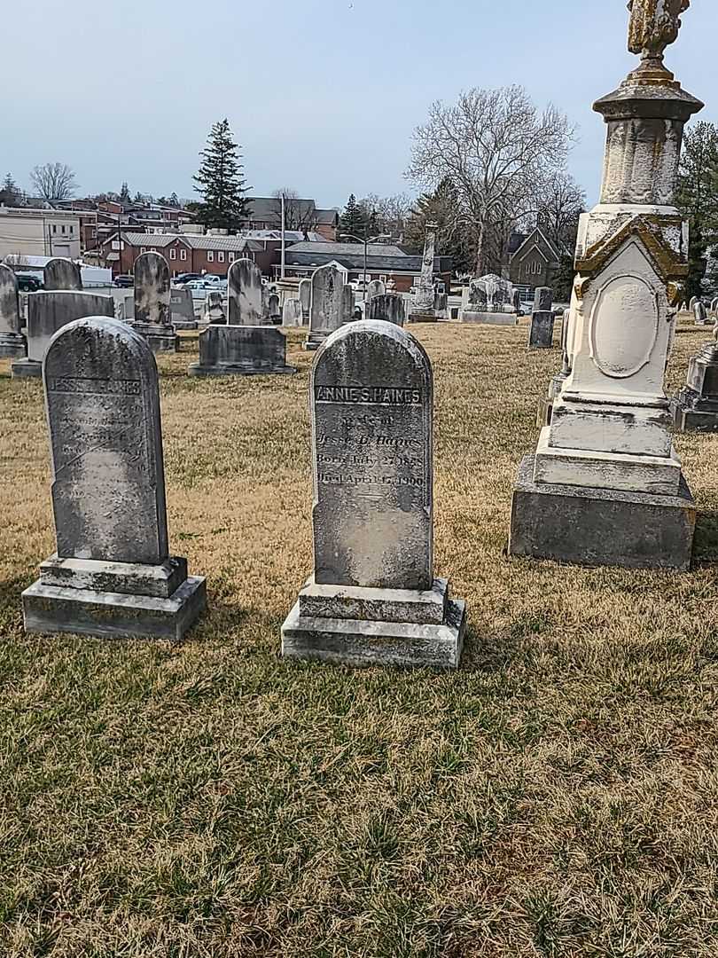 Annie S. Haines's grave. Photo 1