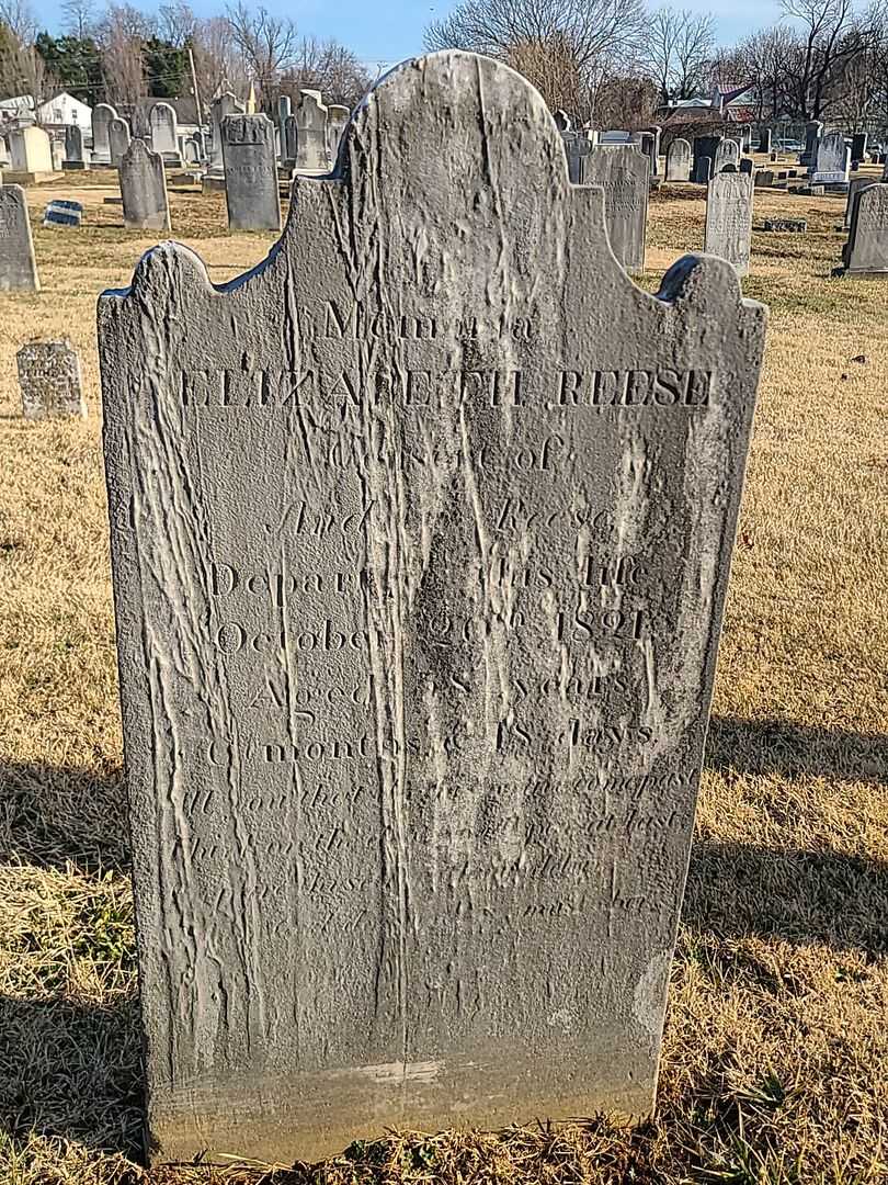 Elizabeth Reese's grave. Photo 3