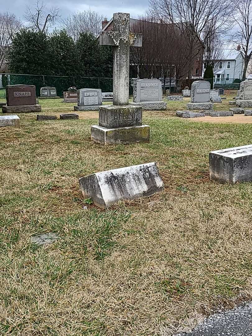 Joseph Trumbo Hering M. D.'s grave. Photo 2
