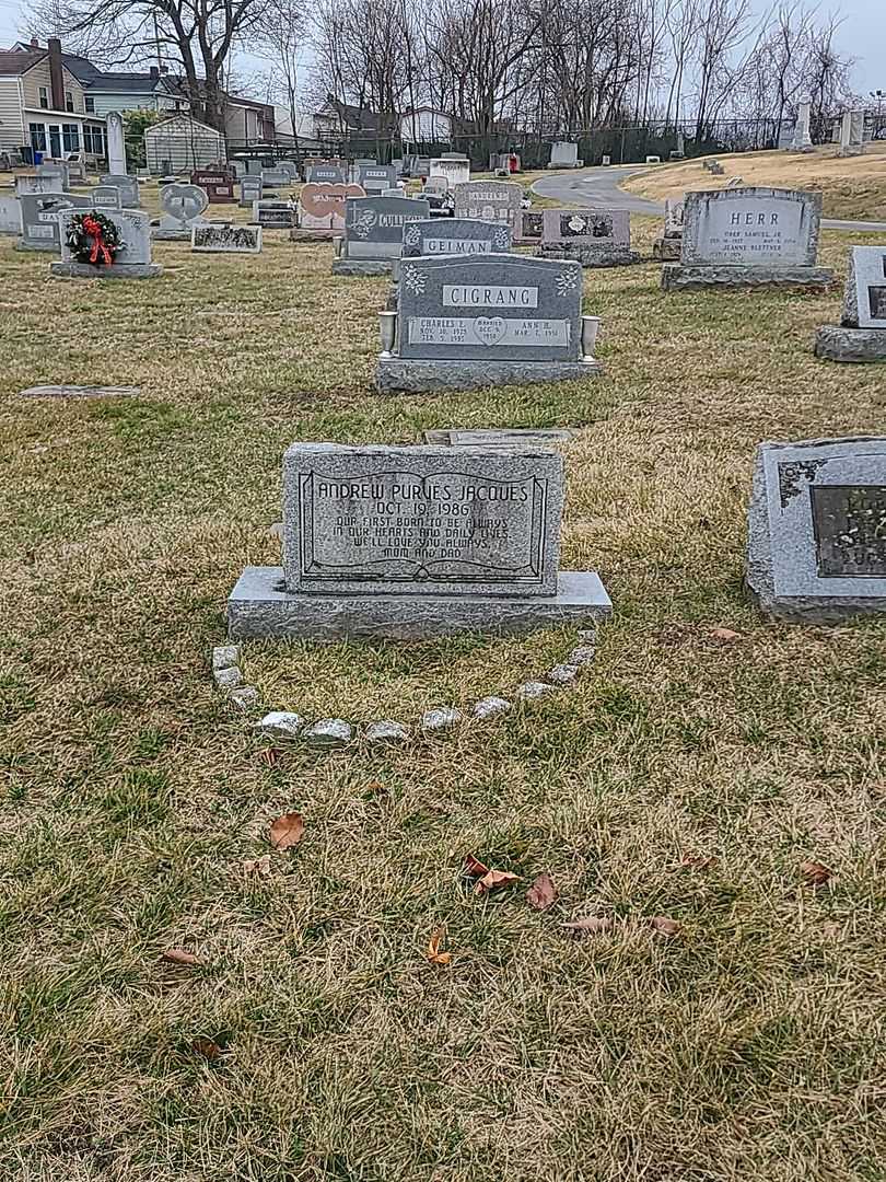 Andrew Purves Jacques's grave. Photo 2