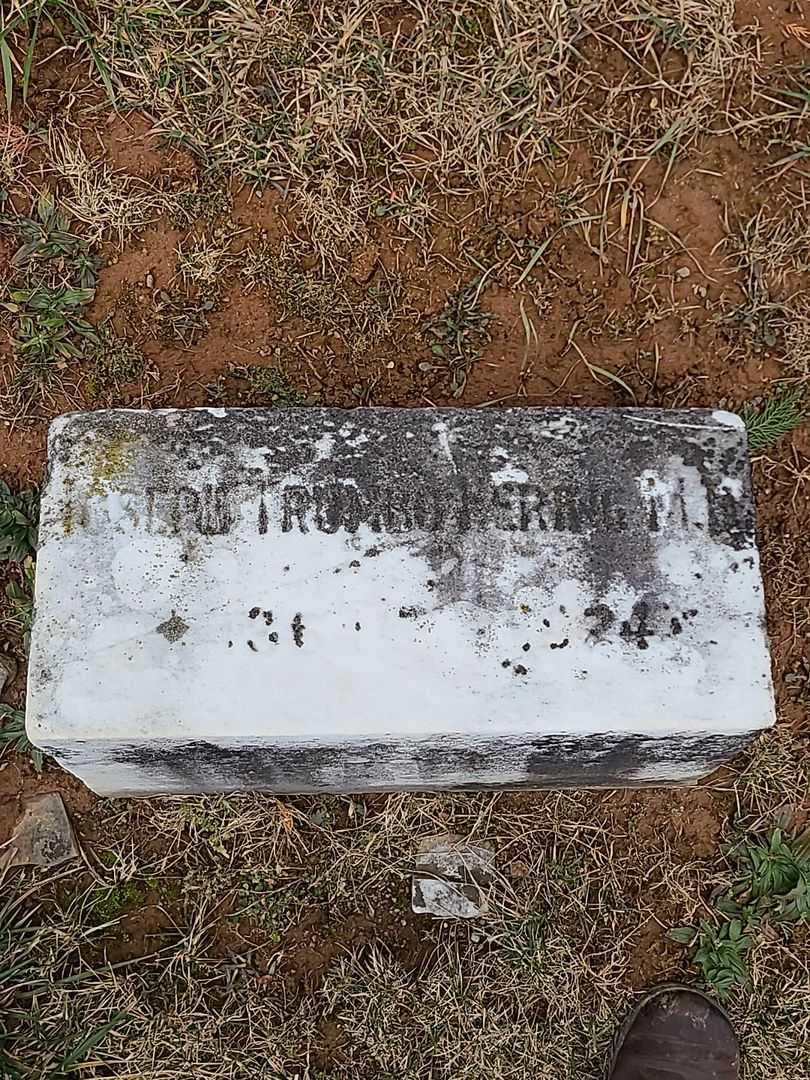 Joseph Trumbo Hering M. D.'s grave. Photo 3