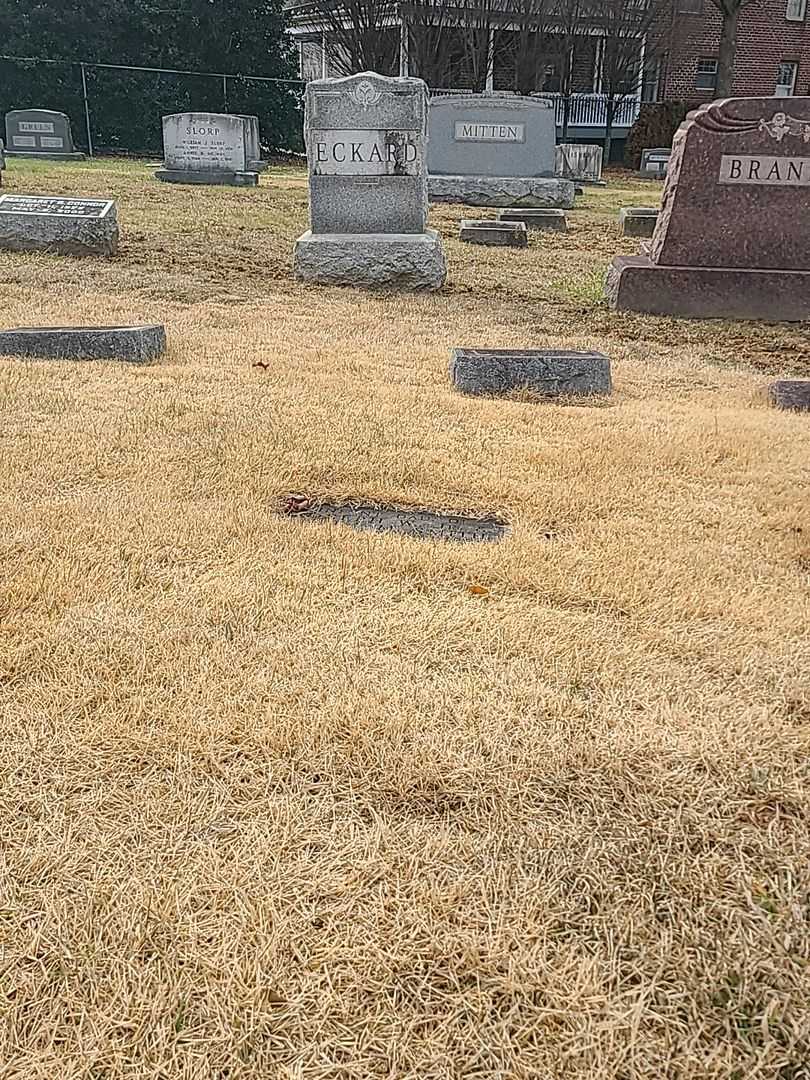 Infant Smith's grave. Photo 2