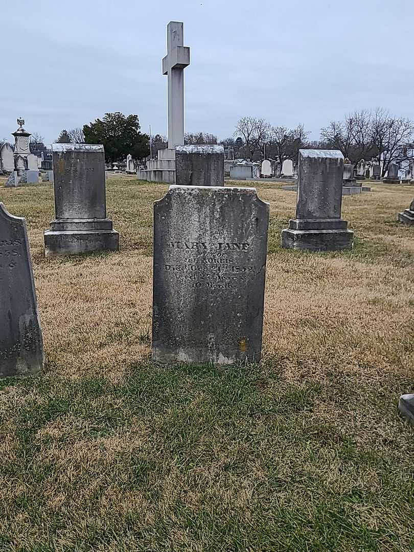 Mary Jane Norris's grave. Photo 2